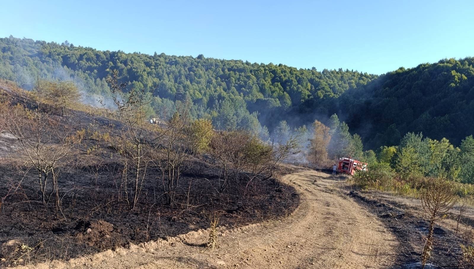 bilecik pazaryeri yangini buyumeden sonduruldu TmP2nKjA