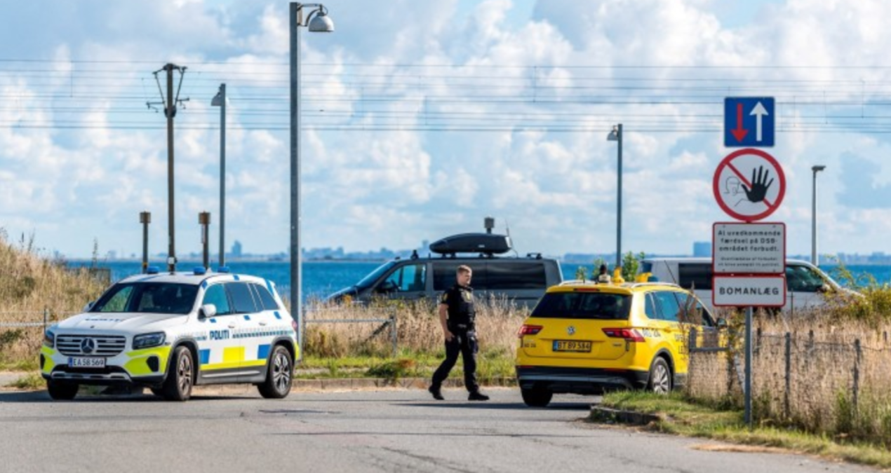 danimarkayi istila eden ihalar ulkenin hava trafigini felc etti Dz6t8E9a