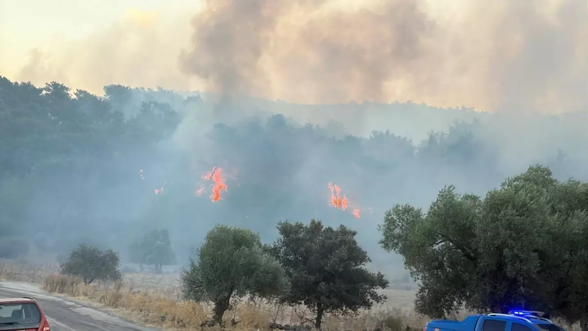 milasta orman yanginina hava mudahalesi kXbu7lYq