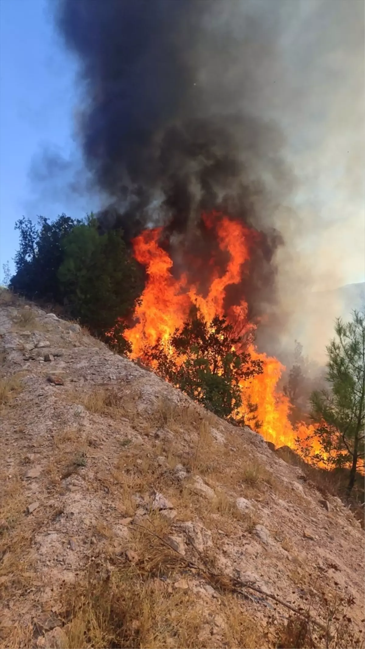sindirgida orman yangini kontrol altina alinmaya calisiliyor NYwSjQ1j