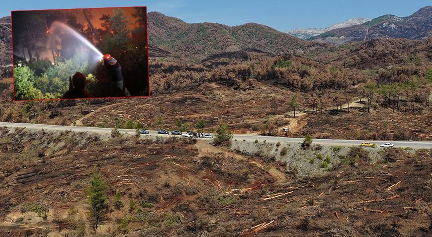 koycegizdeki yanan 2 bin 403 hektar alanda agaclandirma icin hazirliklar devam ediyor IJdSvm6c.jpg